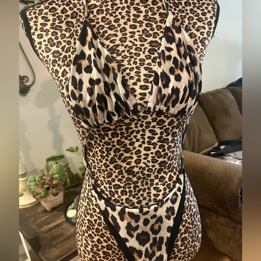 Leopard Print 2 Piece Bikini
